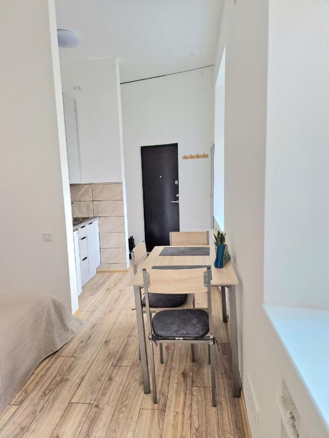 Cozy Studio In Heart Of Old Town Διαμέρισμα Βίλνιους Εξωτερικό φωτογραφία