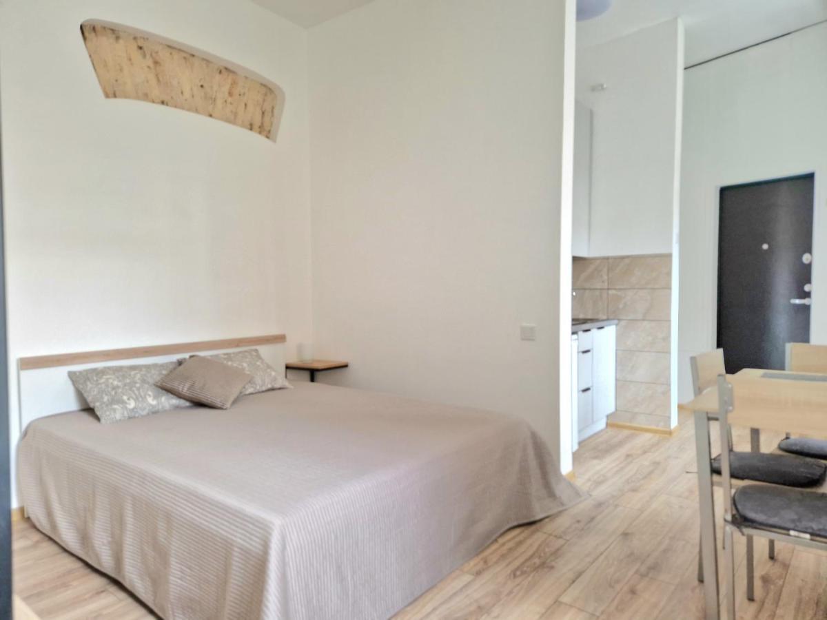 Cozy Studio In Heart Of Old Town Διαμέρισμα Βίλνιους Εξωτερικό φωτογραφία
